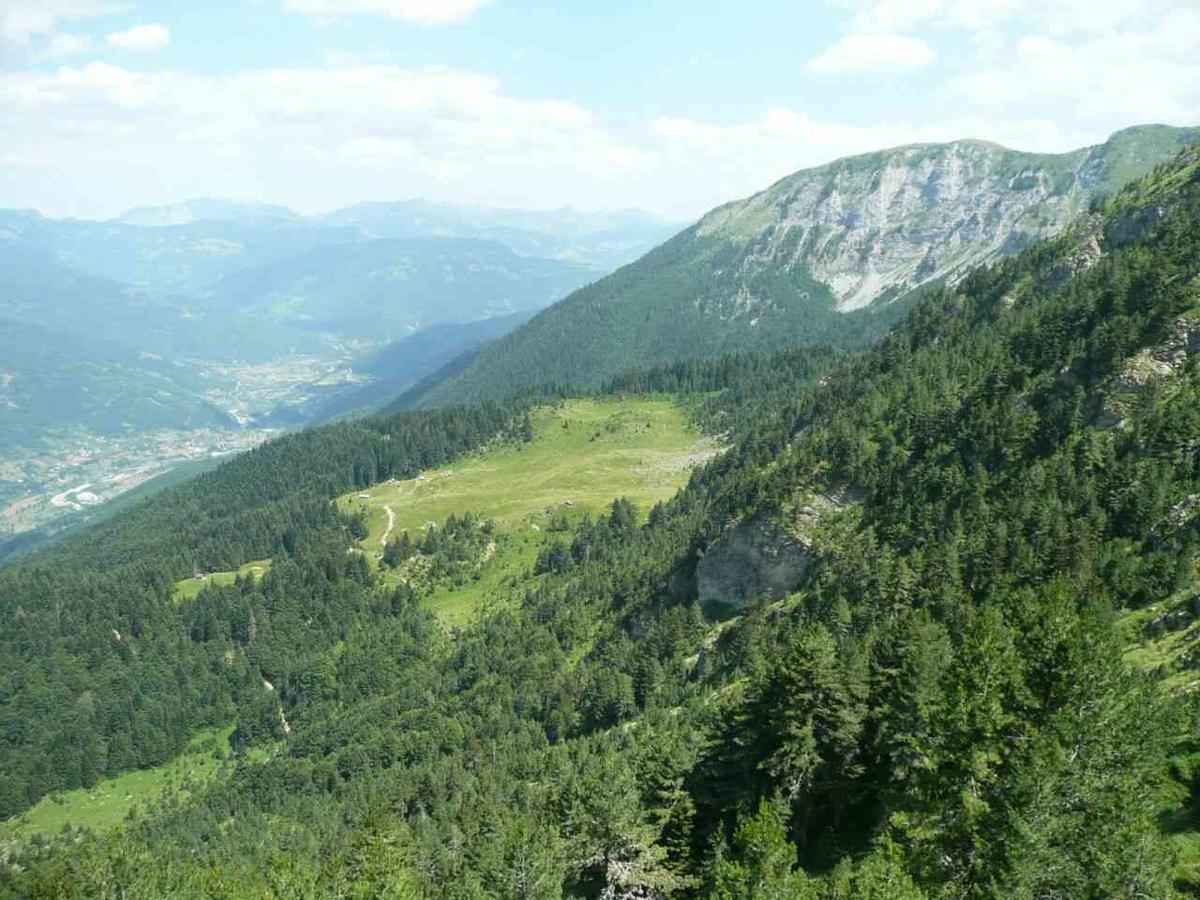 Vuceljic Rooms Andrijevica Екстериор снимка
